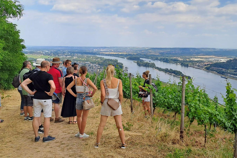 Rüdesheim &quot;Den vintastiska turen&quot;