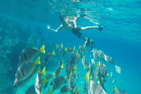 Da Cabo San Lucas: Lovers Beach e gita in barca a El Arco