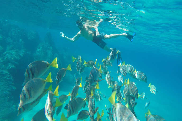 Da Cabo San Lucas: Lovers Beach e gita in barca a El Arco