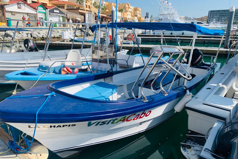 Da Cabo San Lucas: Lovers Beach e gita in barca a El Arco