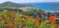 St Thomas, Skyline Drive Lookout et Beach Hopping Tour - Housity