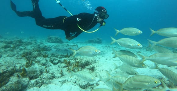 Corralejo: Lobos Island Beginner Dive Boat Tour and Snorkel