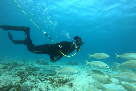 Corralejo: Lobos Island Beginner Dive Boat Tour and Snorkel