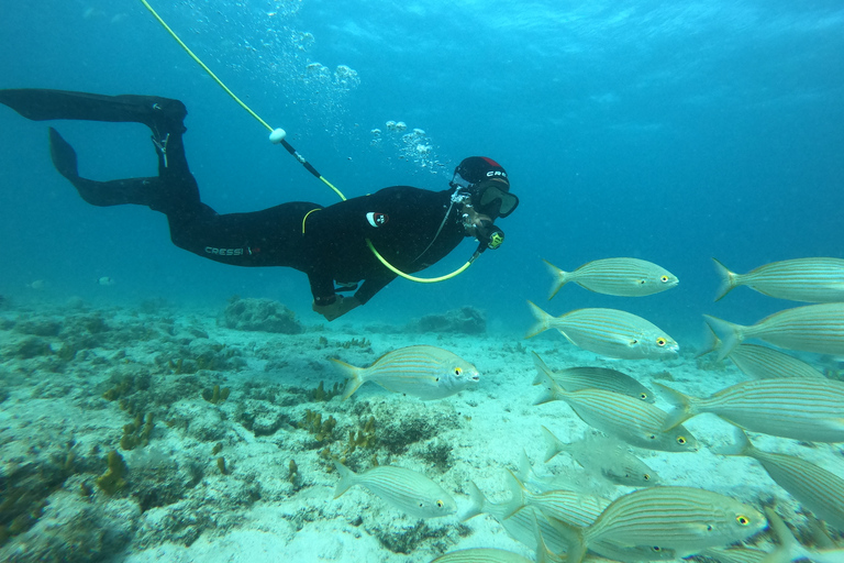 Corralejo: Lobos Island Beginner Dive Boat Tour and Snorkel