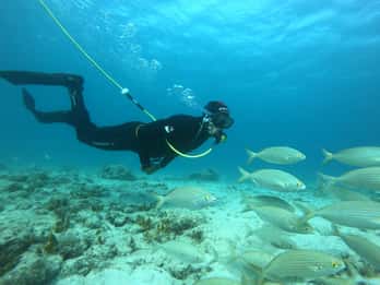 Corralejo: Lobos Island Beginner Dive Boat Tour and Snorkel