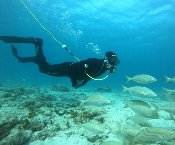 Corralejo: Lobos Island Beginner Dive Boat Tour and Snorkel