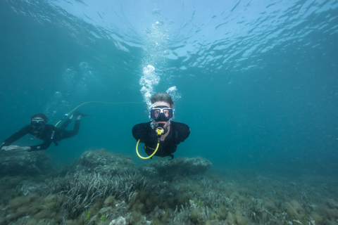 Corralejo: Lobos Island Beginner Dive Boat Tour and Snorkel