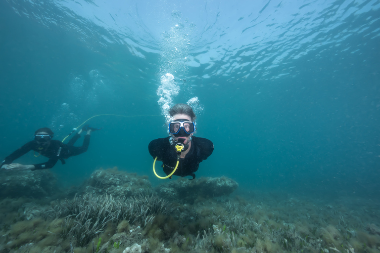 Corralejo: Lobos Island Beginner Dive Boat Tour and Snorkel