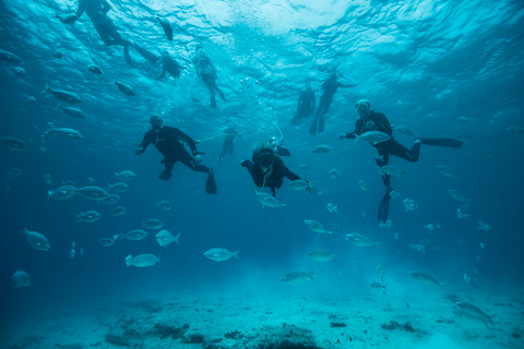 Corralejo: Lobos Island Beginner Dive Boat Tour and Snorkel