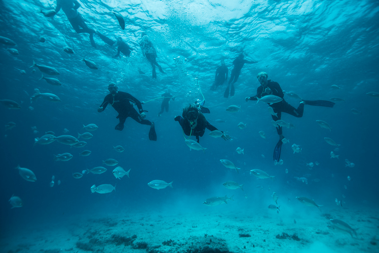 Corralejo: Lobos Island Beginner Dive Boat Tour and Snorkel