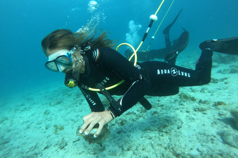 Corralejo: Lobos Island Beginner Dive Boat Tour and Snorkel