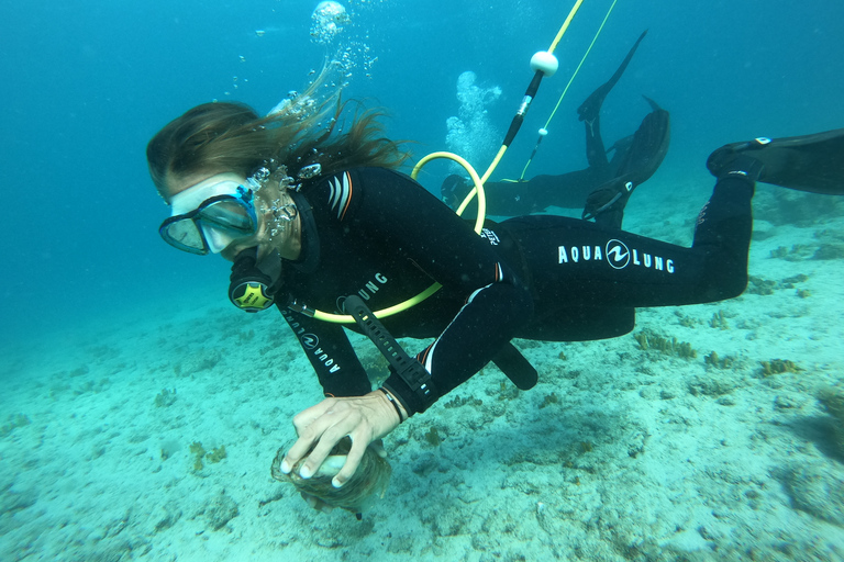 Corralejo: Lobos Island Beginner Dive Boat Tour and Snorkel