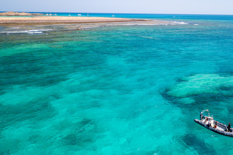 Corralejo: Lobos Island Beginner Dive Boat Tour and Snorkel
