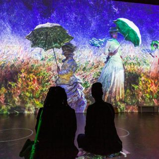 Boston: Immersive Monet and the Impressionists Entry Ticket