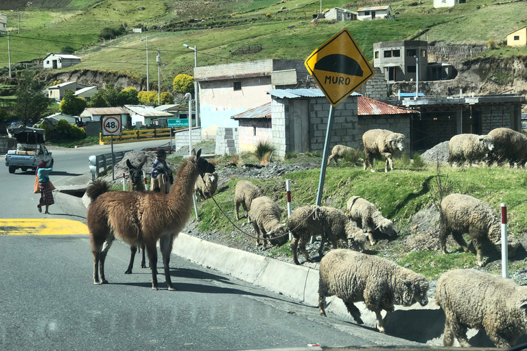 Giornata Quilotoa e Cotopaxi