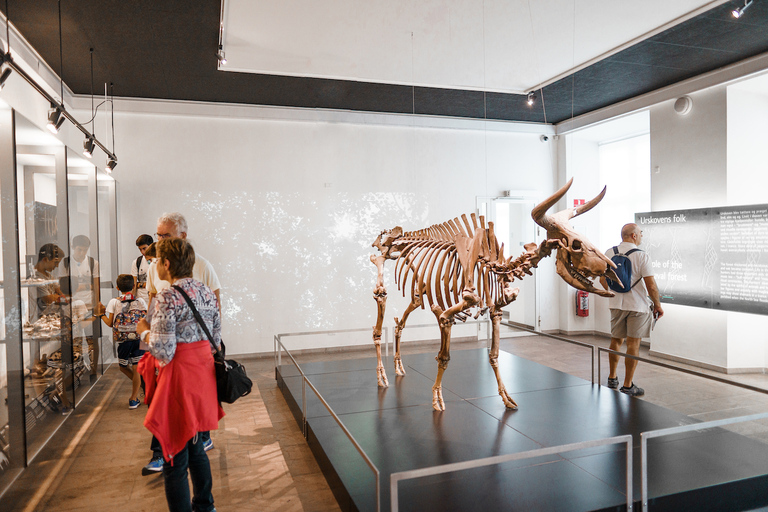 Kopenhagen: Toegangsbewijs voor het Nationaal Museum van Denemarken