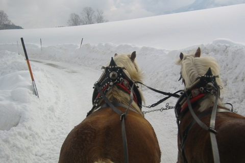 Romantic Sleigh Ride through the Salzburg Countryside