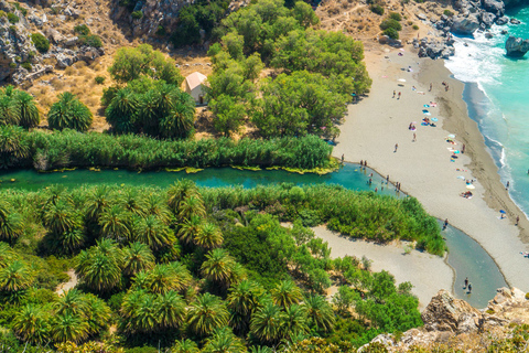 Desde Rethymno / Chania: excursión de un día a Preveli Palm BeachTour privado desde Chania y Rethymno