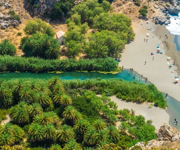 From Rethymno/Chania: Day Trip to Preveli Palm Beach