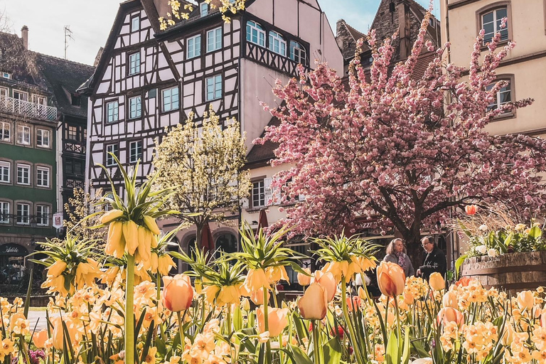 ستراسبورغ: جولة تذوق الطعام والمشي في المدينة القديمةجولة تذوق الطعام في ستراسبورغ