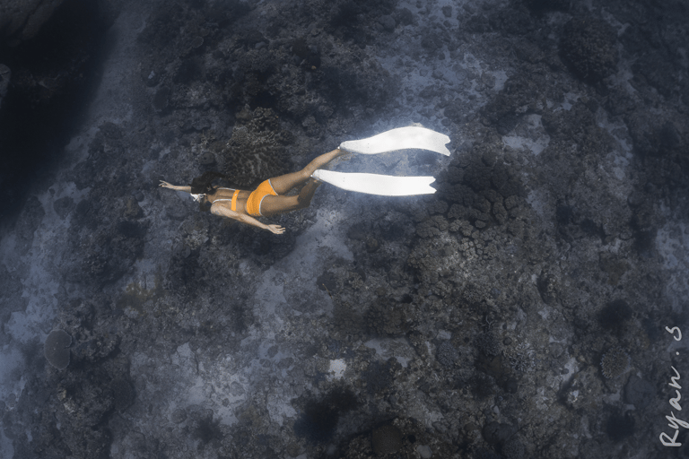 Discover Freediving in Boracay