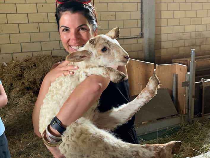 From Bilbao: San Sebastian and Basque Cheese Farm Tour