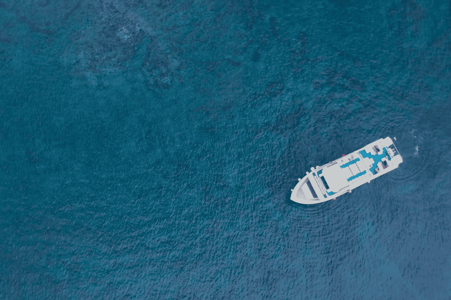 Lanzarote : Transfert en Bateau entre Puerto del Carmen et Puerto Calero