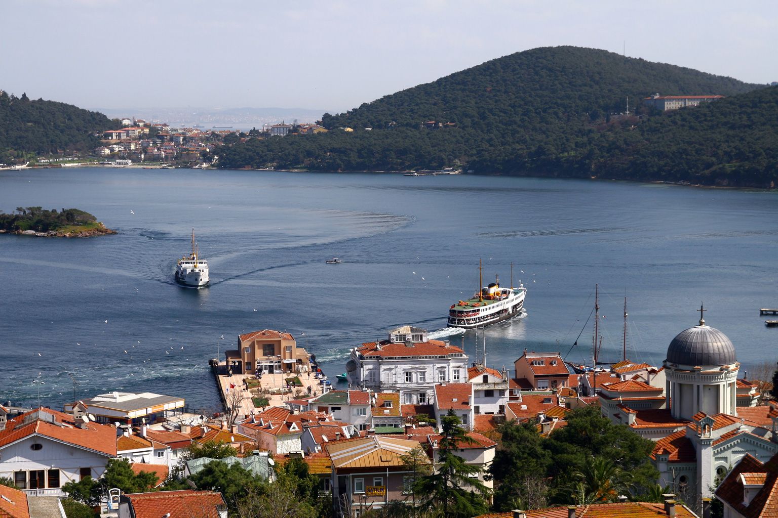 Istanbul: Ganztagestour zu den Prinzeninseln mit Führung und Mittagessen