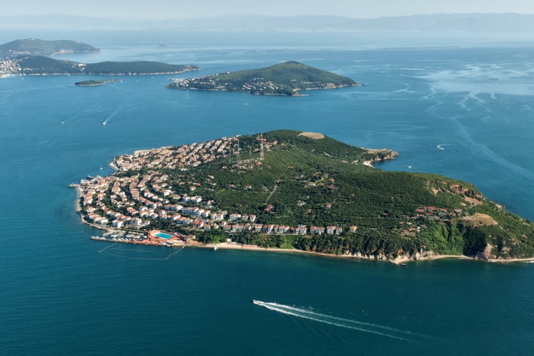 Istanbul: Ganztägige geführte Tour zur Insel Buyukada mit Mittagessen