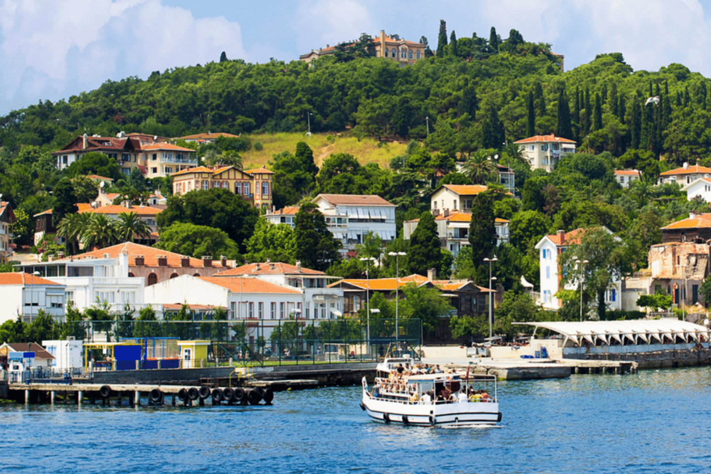 Excursión de día completo a las Islas Príncipe con guía y almuerzo desde Estambul