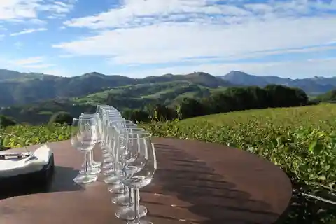 De Bilbao: San Sebastian Privado, Pintxo e Wine Tour
