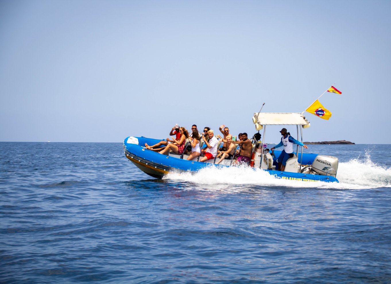 Puerto Colon: Speedbådscruise med delfin- og hvalsafari