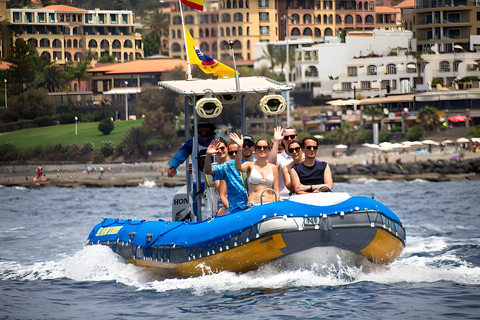 Puerto Colon: Delfin- und Walbeobachtungsboot zur Masca-Bucht