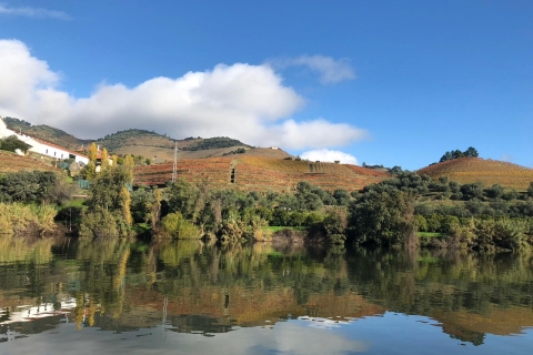 De Porto: l'expérience unique de la vallée du DouroDe Porto: visite privée de la vallée du Douro et croisière en bateau