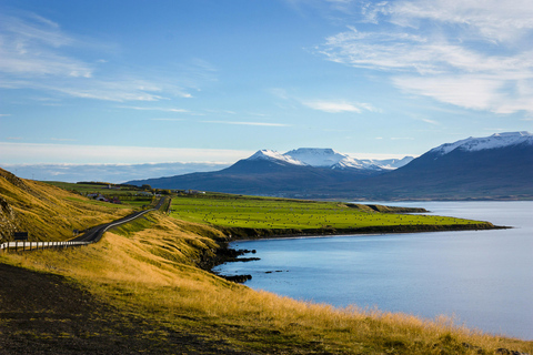 Akureyri: Tour delle cascate di Dettifoss e Goðafoss
