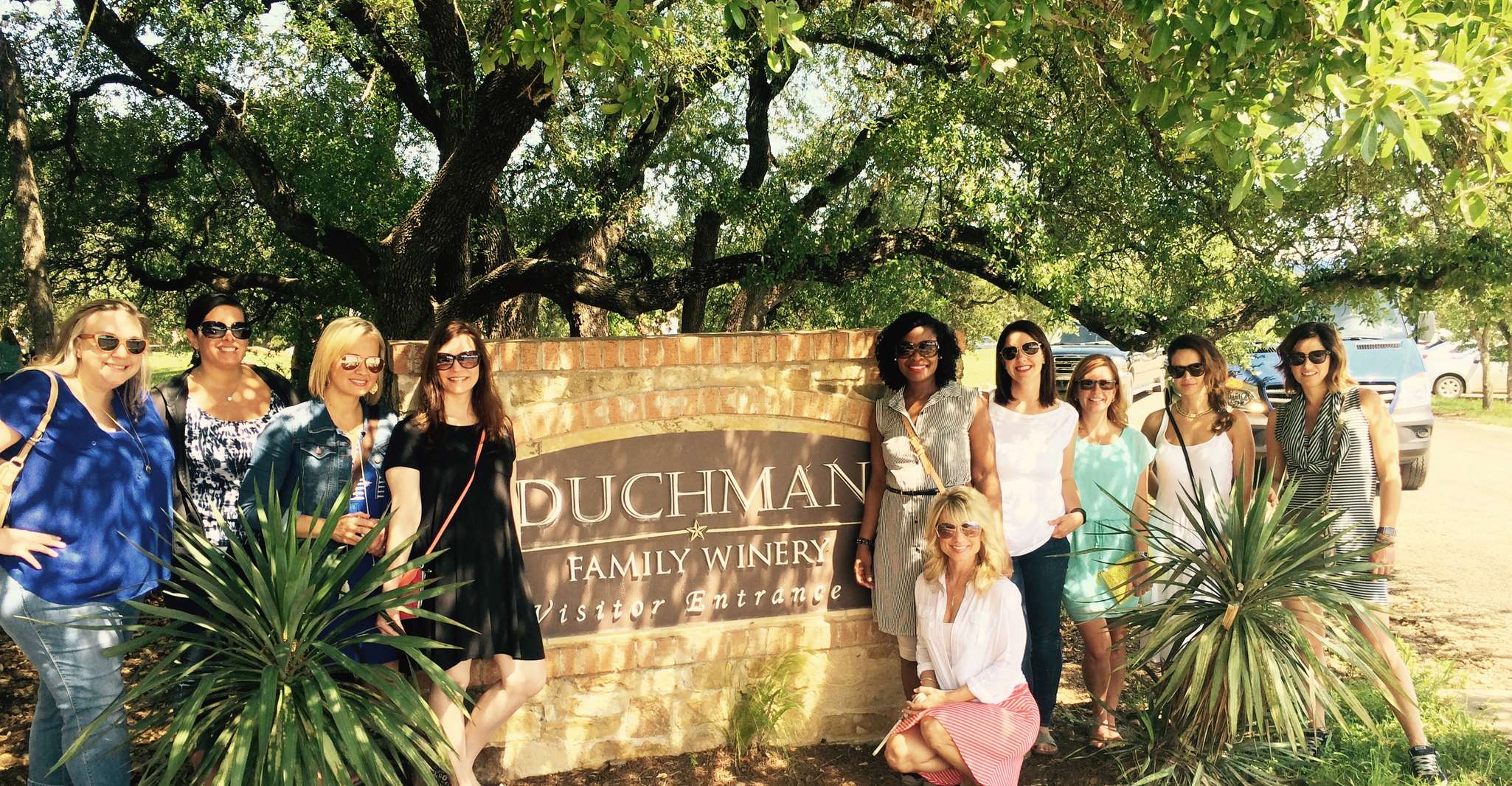 From Austin: Half-Day Hill Country Wine Shuttle photo 1