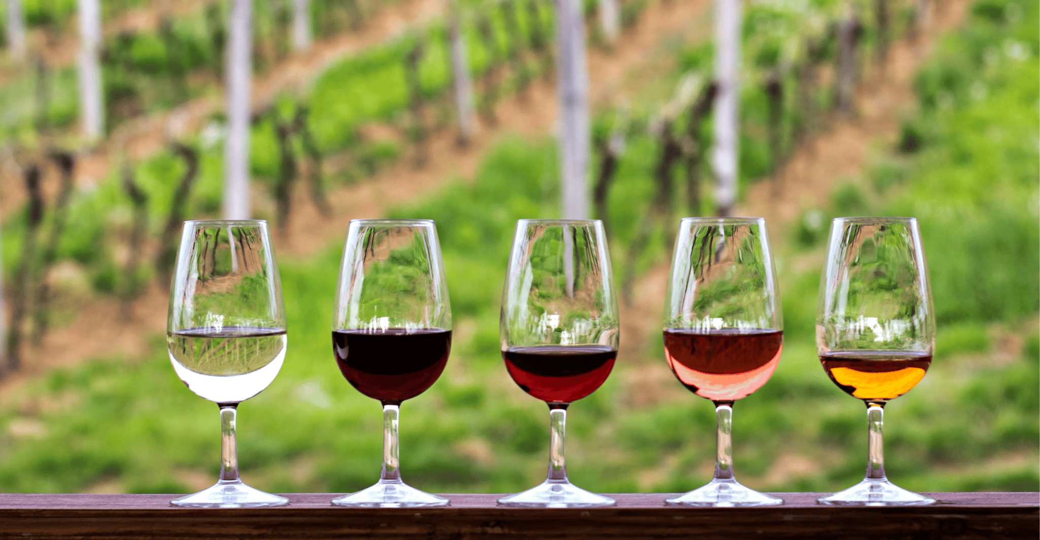 From Austin: Half-Day Hill Country Wine Shuttle photo 2