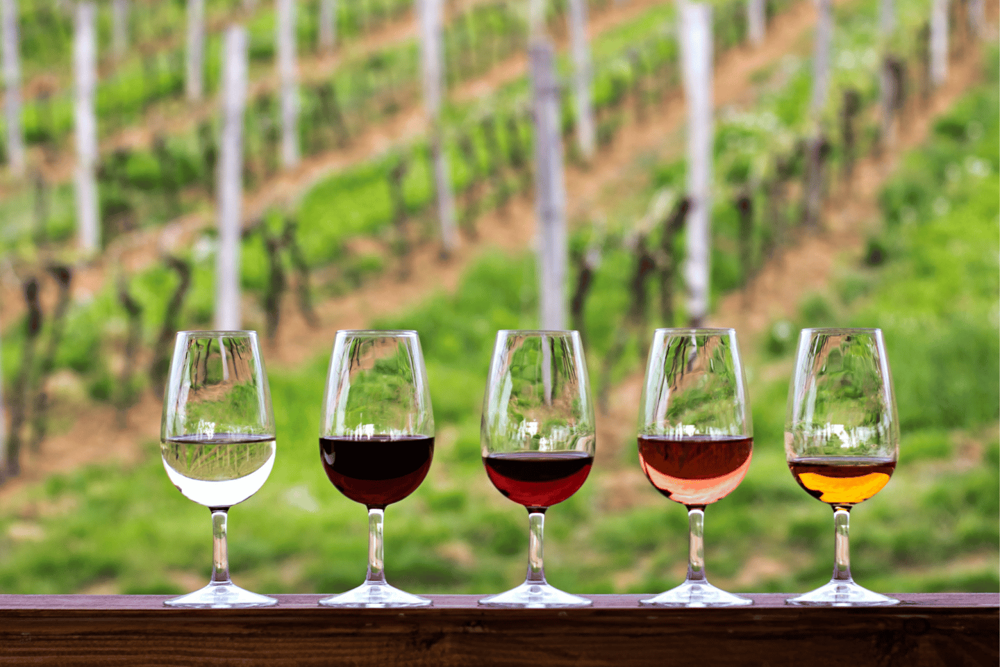 From Austin: Half-Day Hill Country Wine Shuttle - From Austin: Half-Day Hill Country Wine Shuttle