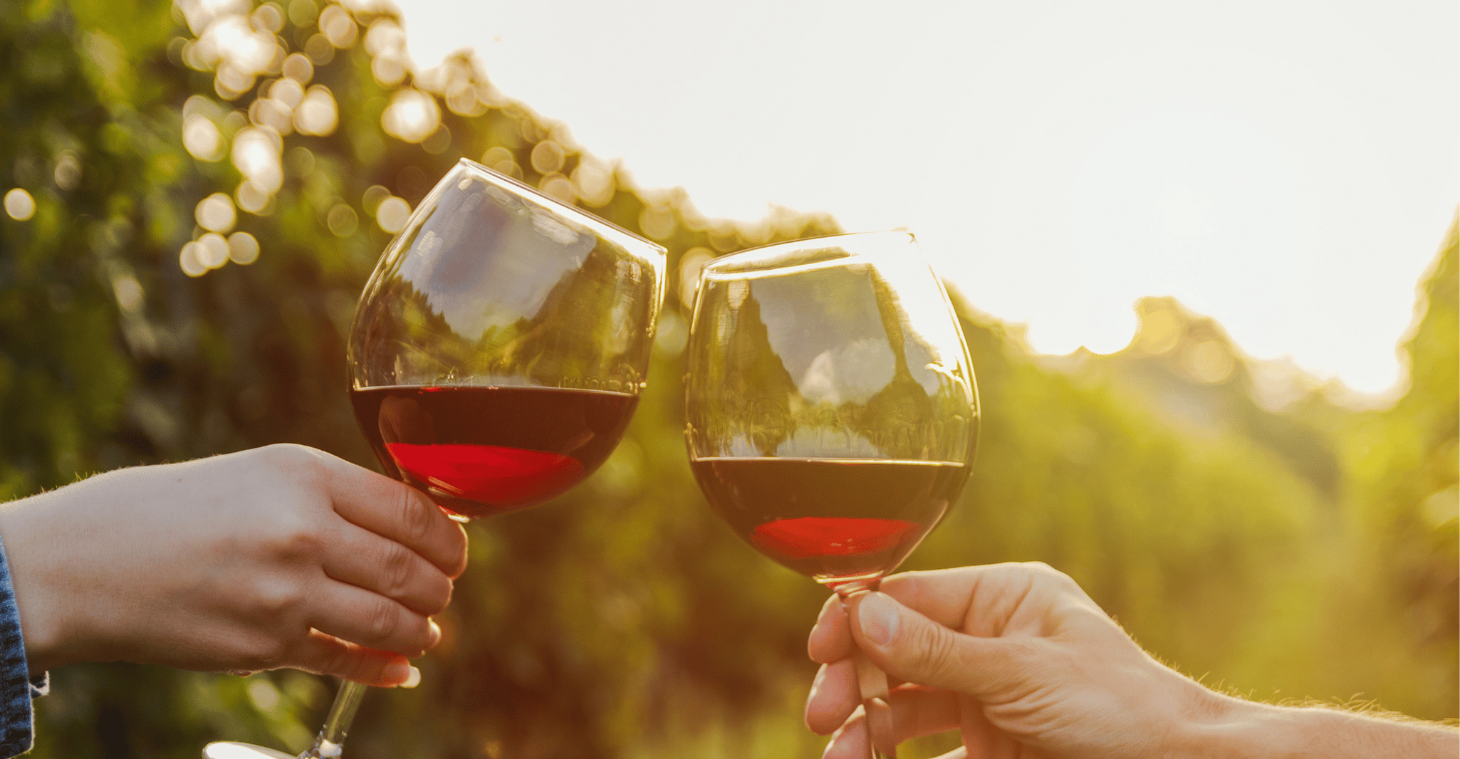 From Austin: Half-Day Hill Country Wine Shuttle photo 6