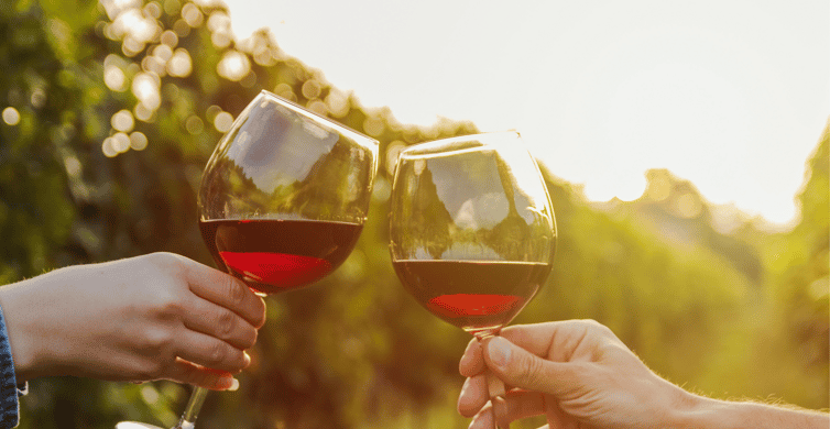 From Austin: Half-Day Hill Country Wine Shuttle photo 6