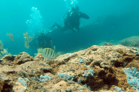 Panama City Beach: Beginner Scuba Diving Experience
