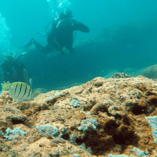 Panama City Beach: Beginner Scuba Diving Experience
