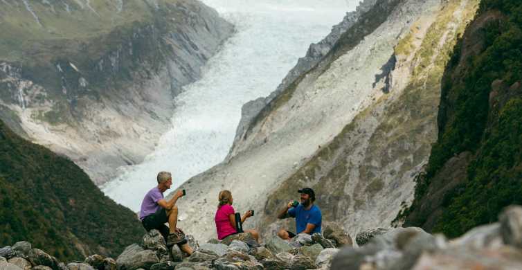 Fox Glacier: mezza giornata a piedi e tour naturalistico con guida locale