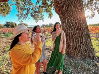 Santa Ynez: Visita à região vinícola