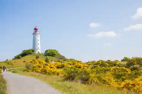 Boat trip to the Island of Hiddensee from Zingst