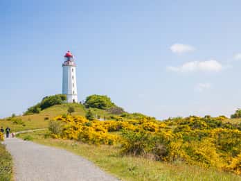 Boat trip to the Island of Hiddensee from Zingst