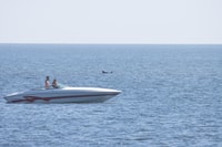 Baabe op Rügen, cruise met zeehondenspotten in de Baltische - Housity