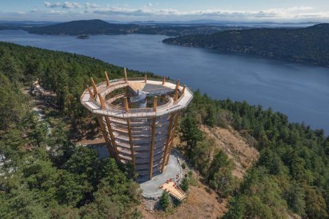 From Vancouver: Malahat SkyWalk & Vancouver Island Day Trip