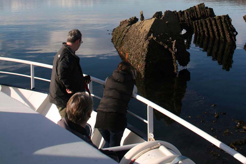 Scottish Highlands: Isle of Skye Glass-Bottom Boat Tour Isle of Skye: 1-Hour Glass-Bottom Boat Wildlife Tour
