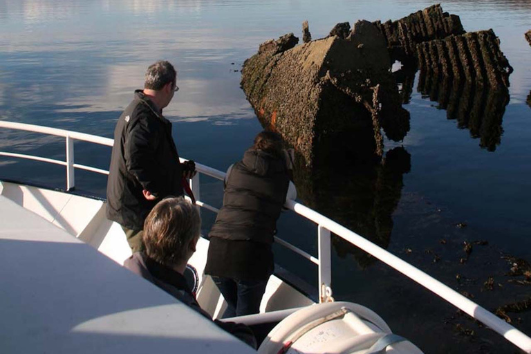 Scottish Highlands: Isle of Skye Glass-Bottom Boat Tour Isle of Skye: 1-Hour Glass-Bottom Boat Wildlife Tour